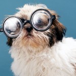 Geekdog