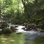 Geroldsau Wasserfälle