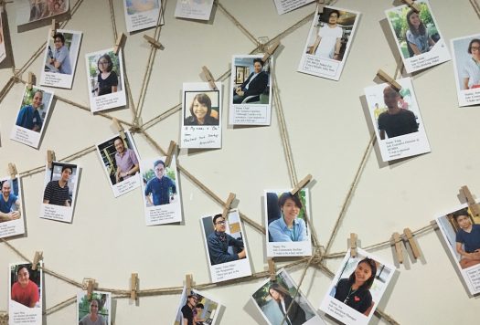 Pinnwand Bilder
