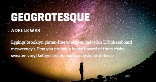 lesetext webfonts