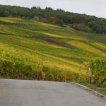 intel-myomega-smarter-wein-1