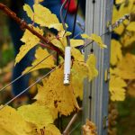 intel-myomega-smarter-wein-7