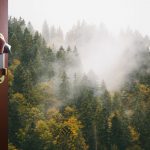hand opens room door to the nature