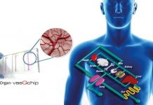 vasQlab