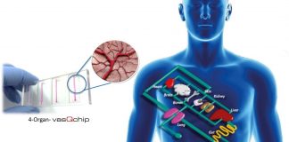 vasQlab