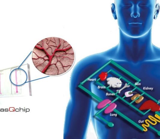 vasQlab