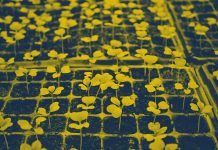 Start-up BW Pre-Seed