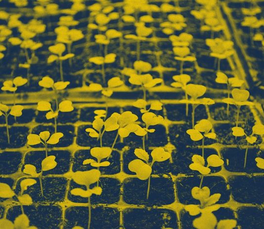 Start-up BW Pre-Seed