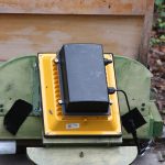 Bienen 019
