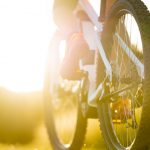 sunny summer mountain bike detail