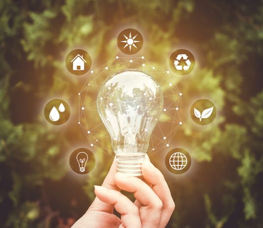 Transformation zum Green-IT-Unternehmen Hand hält leuchtenden Glühlampe