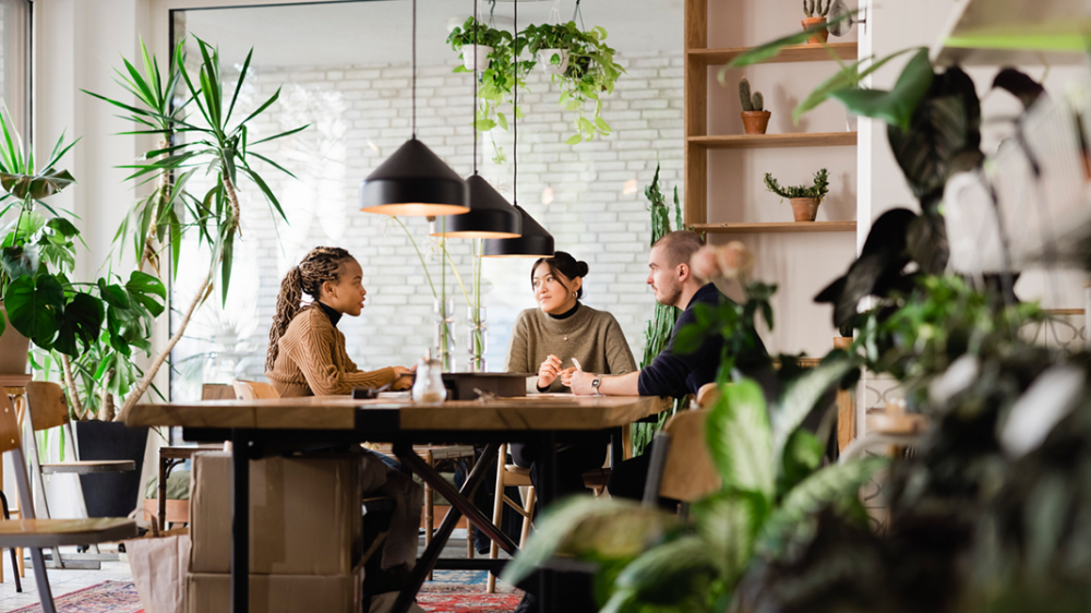 Drei Personen sitzen an einem Tisch und sprechen, es findet ein Job_interview statt, im Büro sind viele Pflanzen