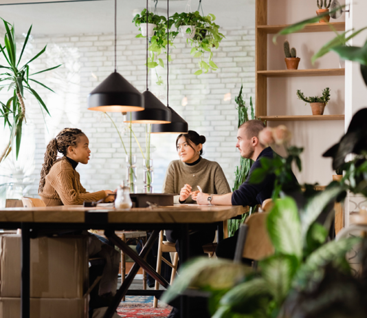 Drei Personen sitzen an einem Tisch und sprechen, es findet ein Job_interview statt, im Büro sind viele Pflanzen