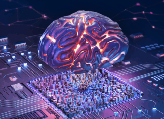 Digital generiertes Bild eines künstlich intelligenten menschlichen Gehirns über der Leiterplatte