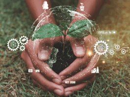 Vom Know-how zum Green Skill: Wenn Nachhaltigkeit zur Kompetenz wird Symbolbild zum Thema Green Skills