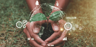 Vom Know-how zum Green Skill: Wenn Nachhaltigkeit zur Kompetenz wird Symbolbild zum Thema Green Skills