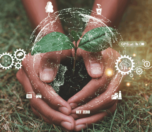 Symbolbild zum Thema Green Skills